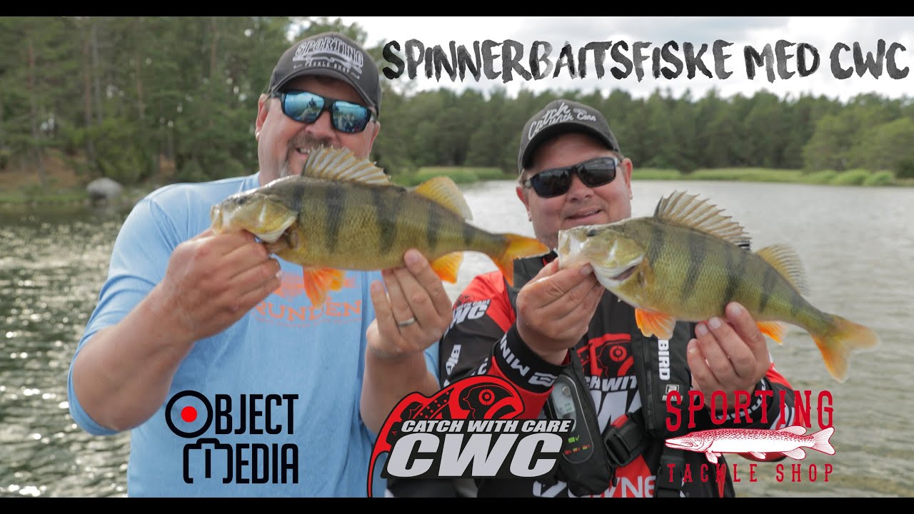 SportingTV - Spinnerbaitsfiske med CWC