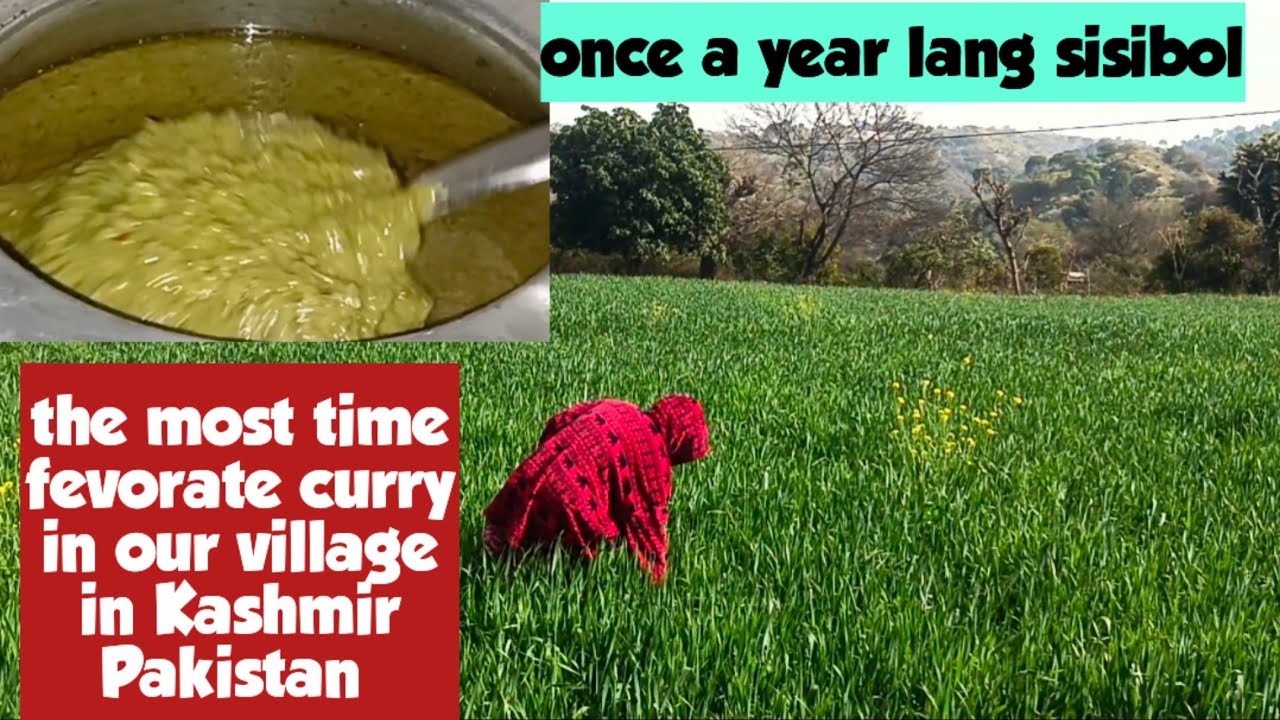 THE FAMOUS CURRY IN OUR VILLAGE (SAG CURRY) rosanailyas