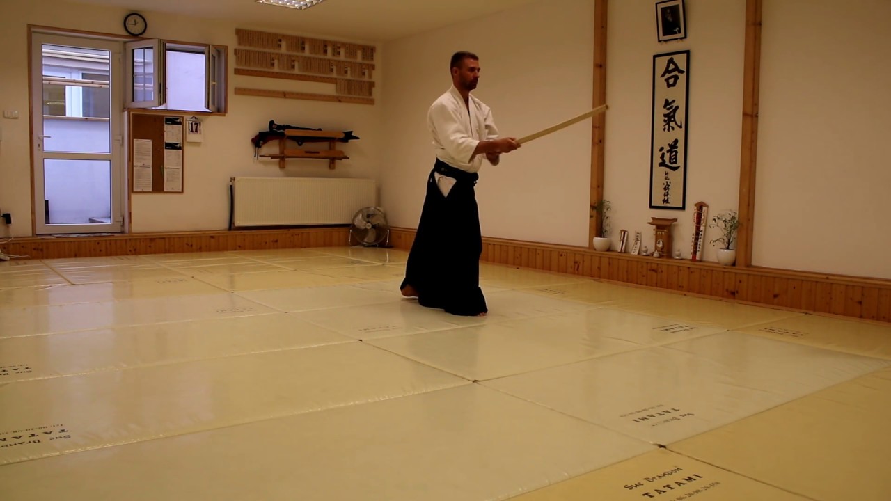 [Aikido] Ken zengo no ido -Tachiwaza, zagi