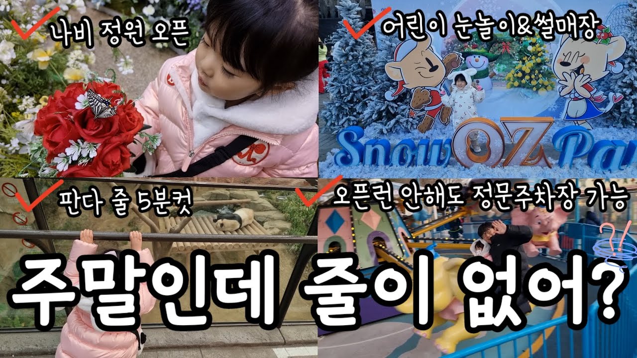 주말인데 줄이 없다고? 아이랑 에버랜드 이렇게 다녔어요 🎠 