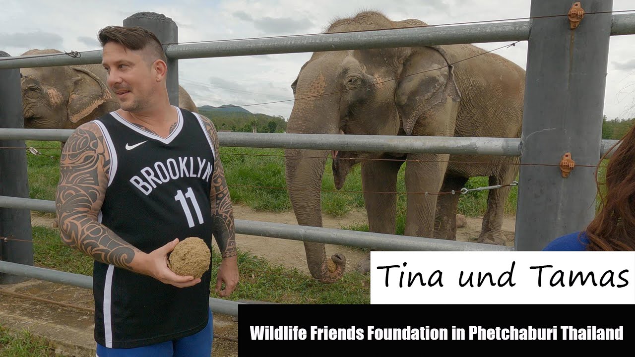 Tina und Tamas - Wildlife Friends Foundation in Phetchaburi, Thailand - Traum und Trauma vereint!!!