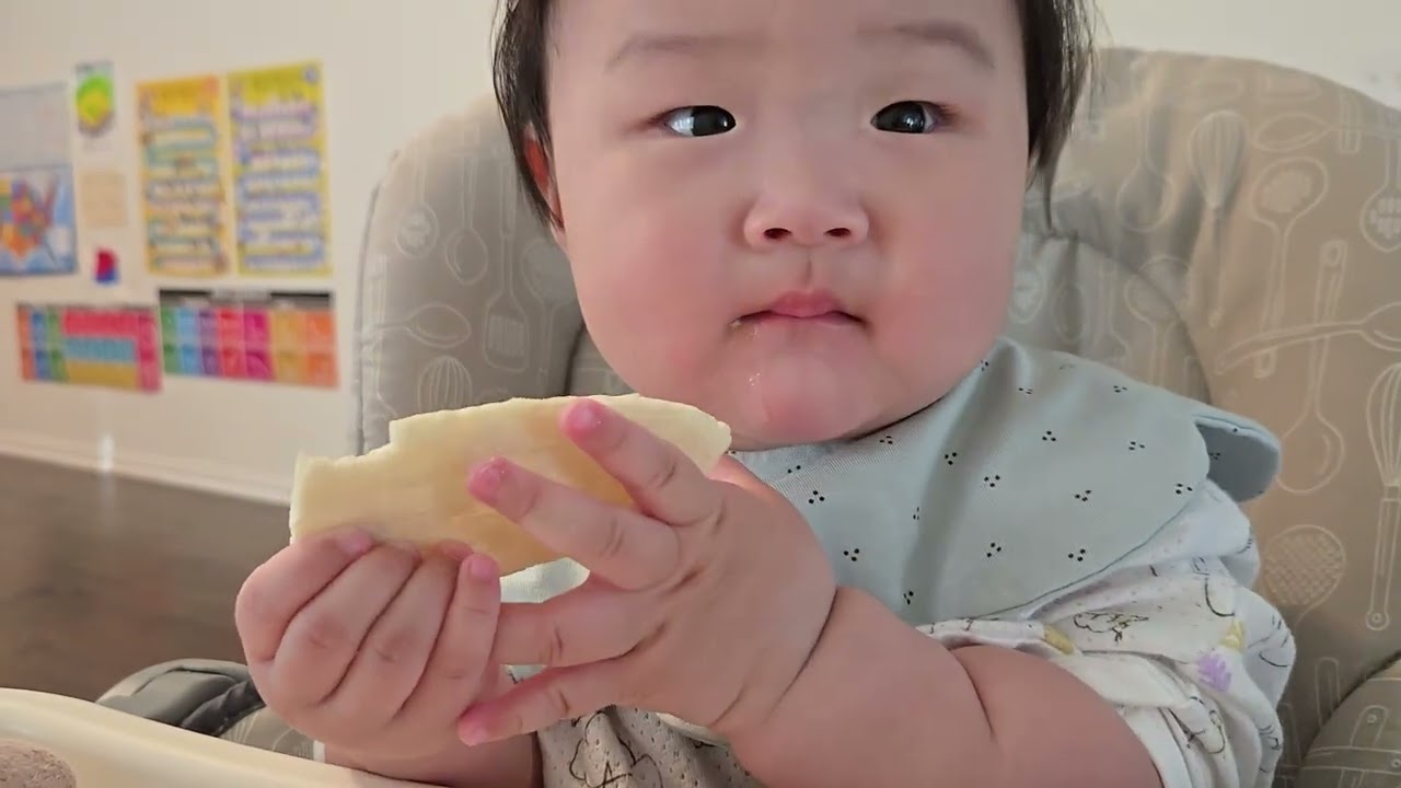 커다란 시금치 과자도 냠냠 👶🤍 011726 또윤 233일