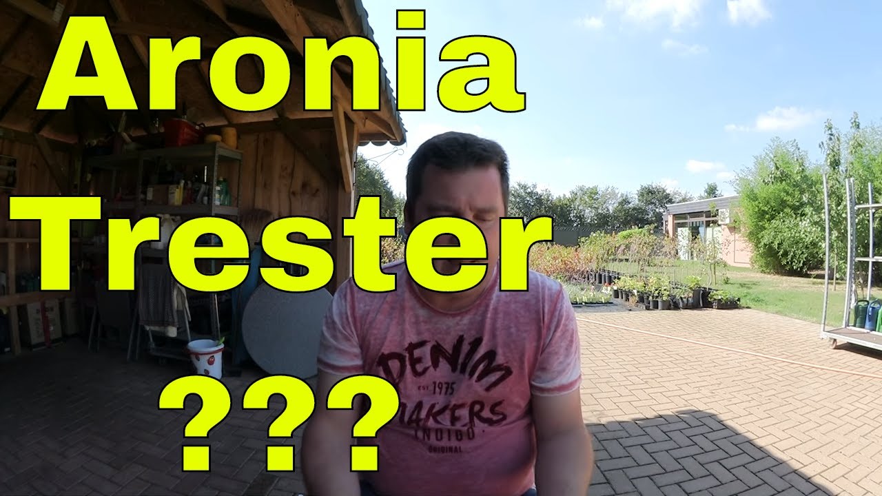 ✅✅ Was macht man mit Aronia Trester - Aronia Beeren nach der Saftherstellung ✅✅