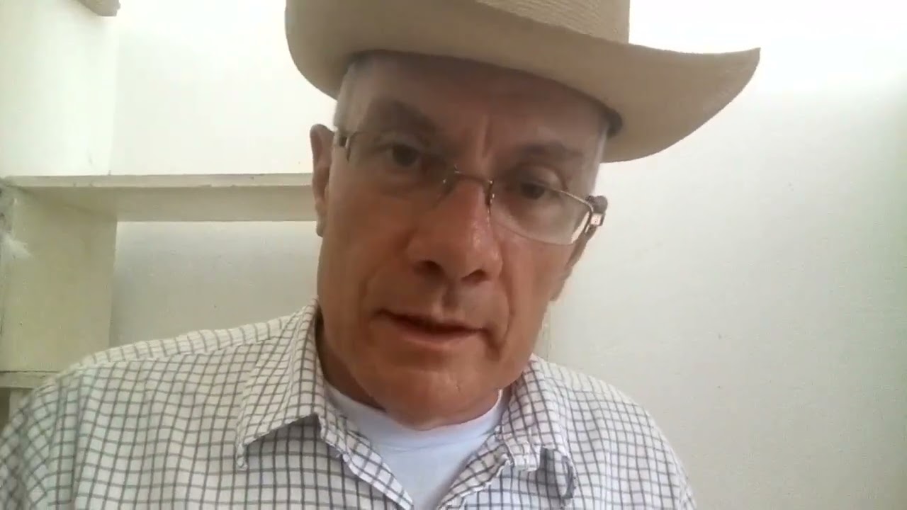 el abuelo colombofilo