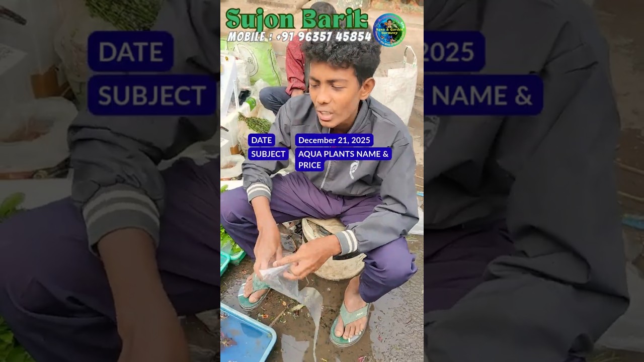 AQUARIUM PLANTS PRICE TODAY | SUJON BARIK | GALIFF STREET 21 DEC 2025