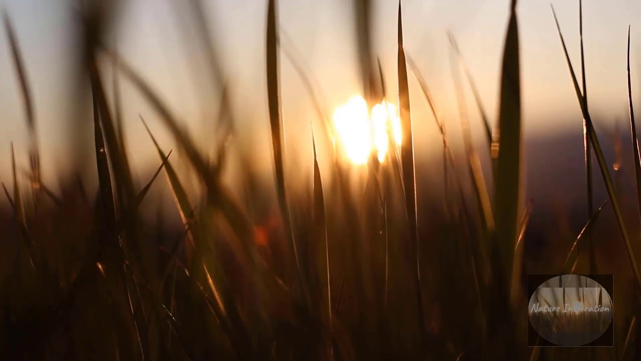 Nature Inspiration