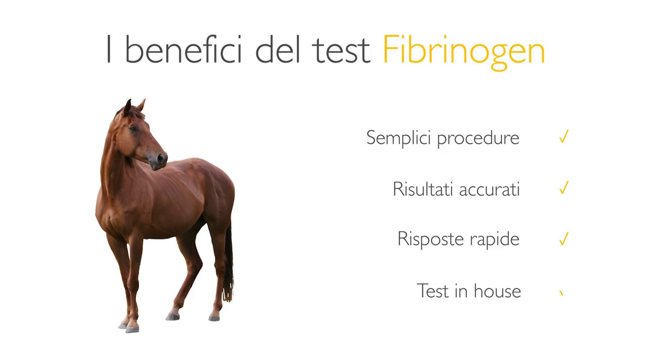 Fibrinogeno con Cube Vet