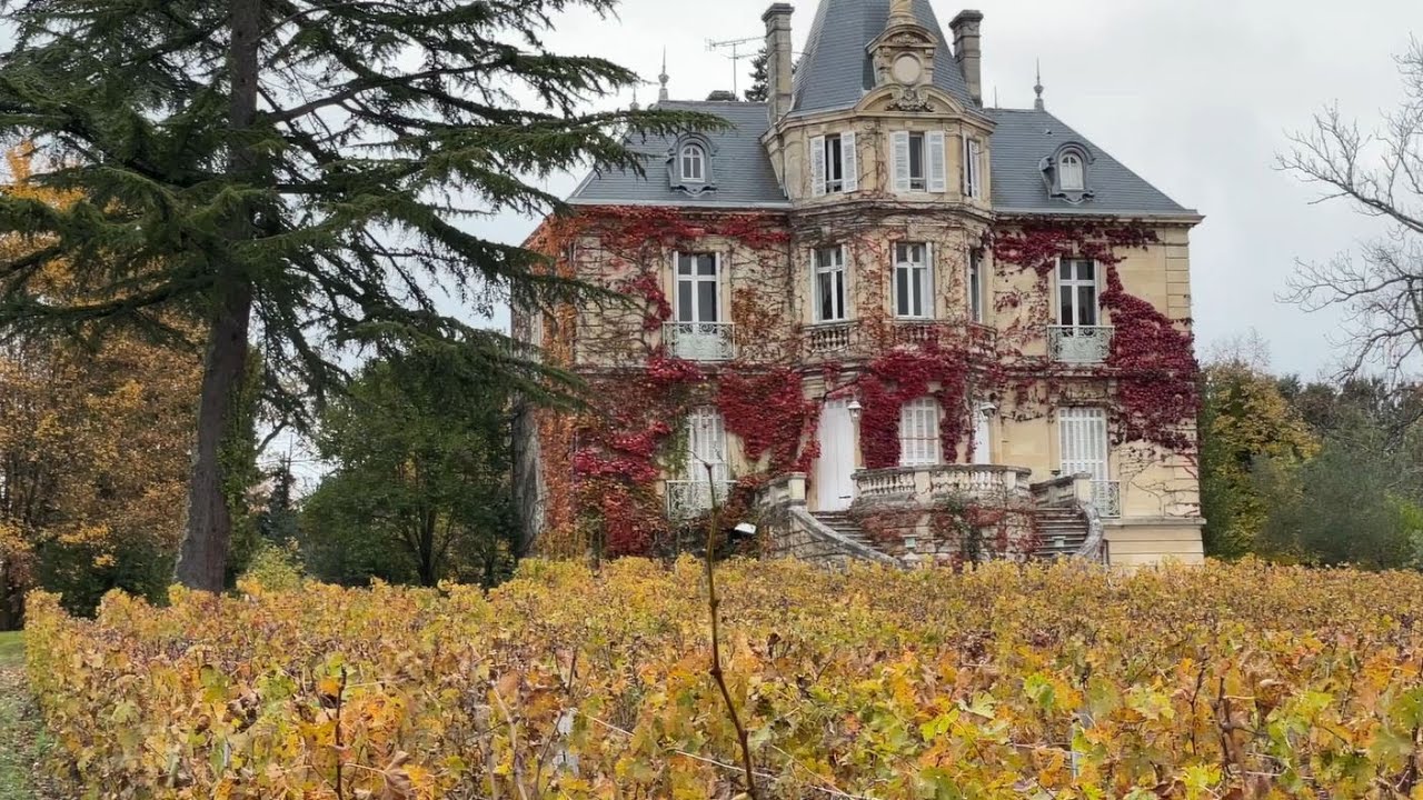 Château Les Carmes Haut Brion: an absolute must-see