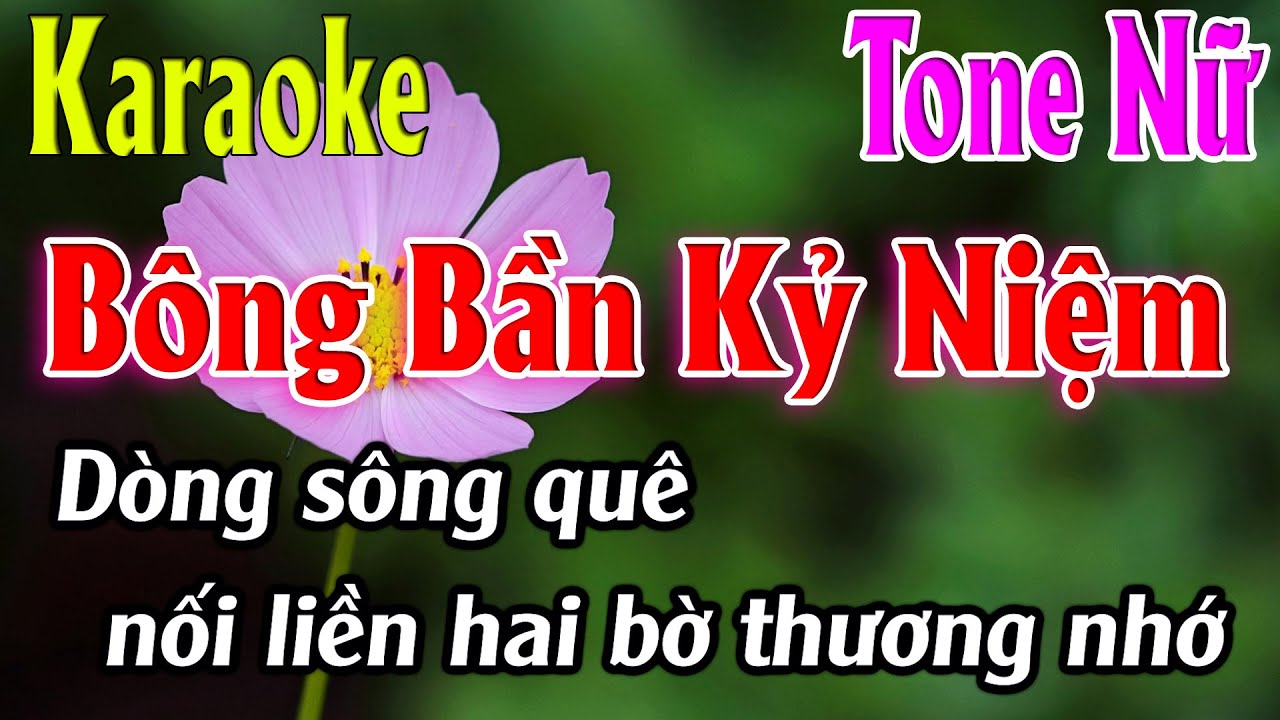 Bông Bần Kỷ Niệm Karaoke Tone Nữ ( A#m ) Karaoke Lâm Organ