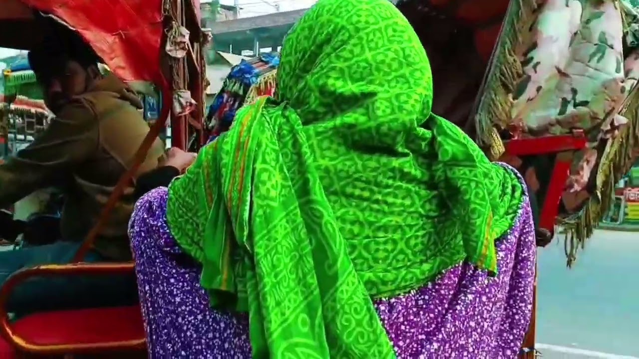 দাদিকে নিয়ে নাগেশ্বরী—কাজ সফল, মন ভরা 😊