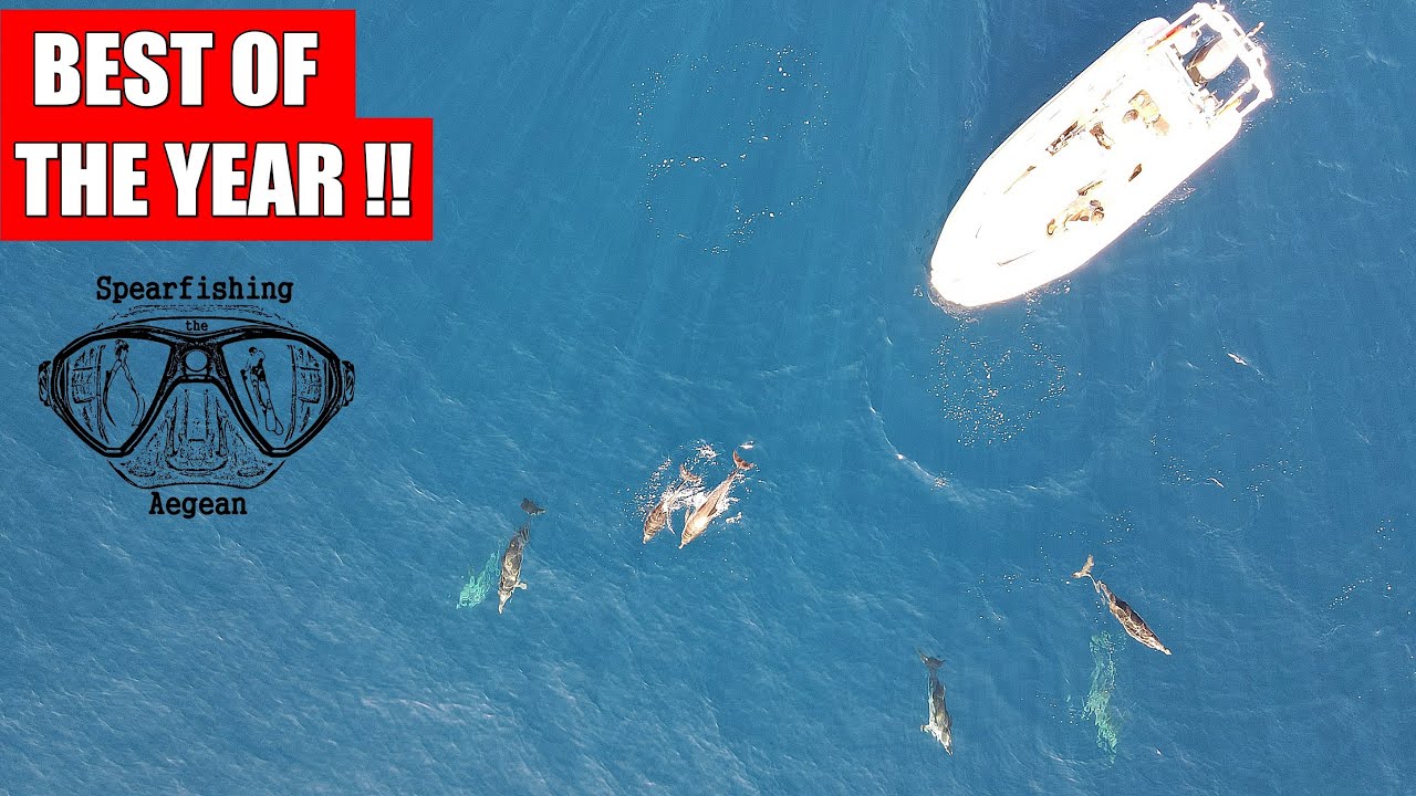 😲ΟΙ ΚΑΛΥΤΕΡΕΣ ΣΤΙΓΜΕΣ ΣΤΟ ΨΑΡΟΝΤΟΥΦΕΚΟ 2021 | Spearfishing the Aegean 🇬🇷 ✔
