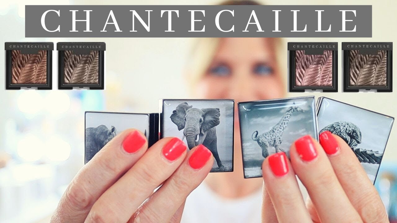 Chantecaille Fall 2019 Eyeshadow swatches | Blush | Eyeshadow Brush