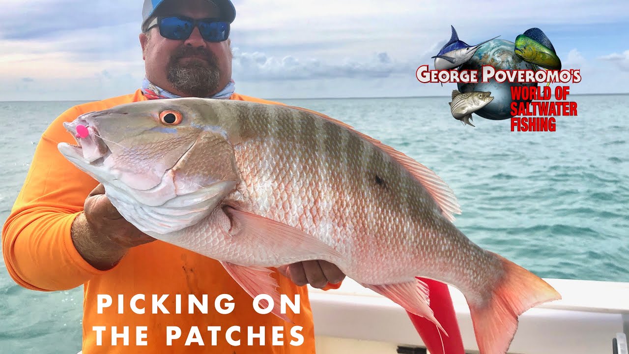 2024 SEASON - Episode 9 Key Largo, FL Keys, Picking On The Patches