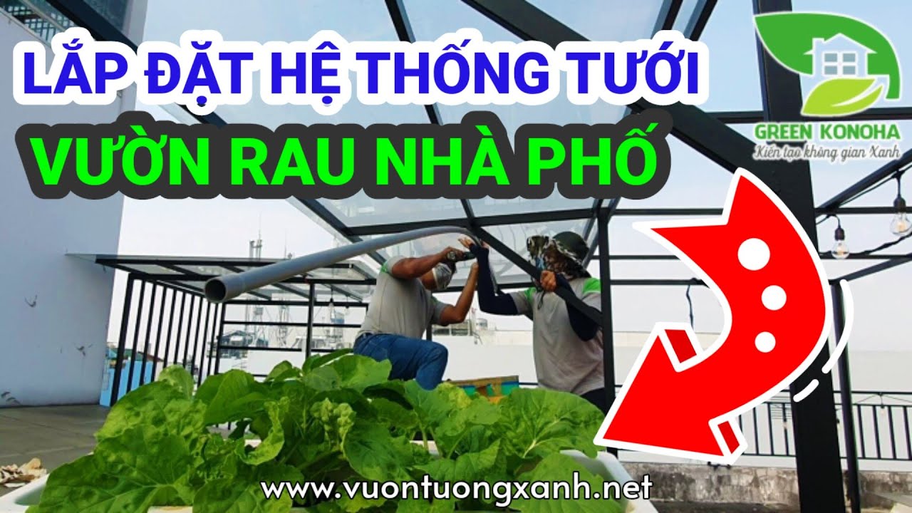 Hệ thống tưới tự động vườn rau trên sân thượng
