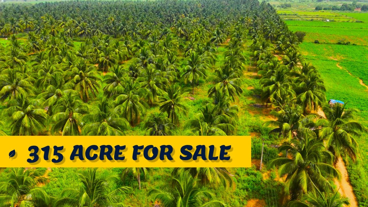 🌴315 ACRE FOR SALE @ BEAUTIFUL LOCATION | #best #property #land #realestate #tamilnadurealestate