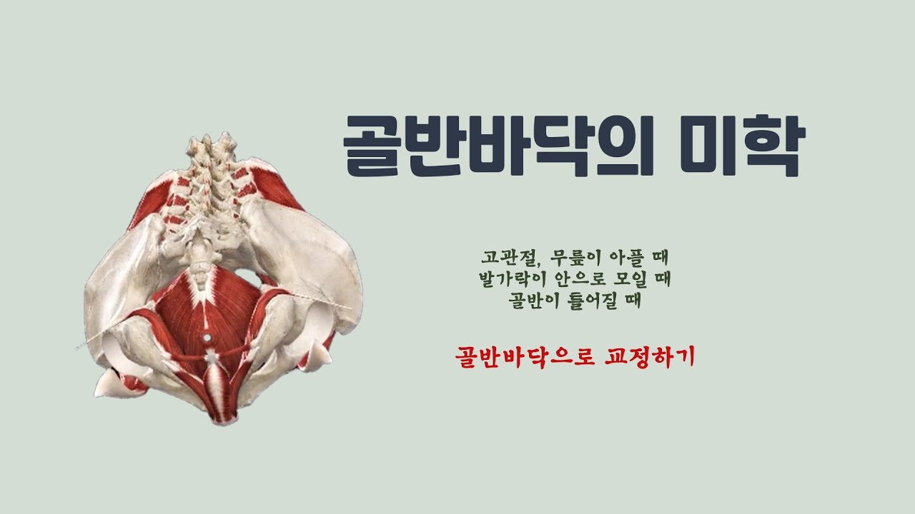 [ 마름모코어 시즌 2-54 ] 바른 정렬 위치에서 골반 바닥의 좌우를 맞춰 신체 불균형 교정하기 / 2023년 11월 4일 워크샵 - 커뮤니티 게시판에서 확인하세요!