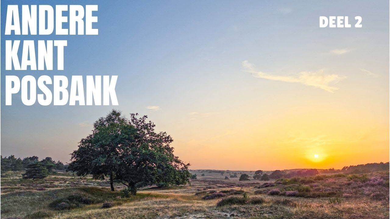 De andere kant van de Posbank Deel 2 | Landschap fotografie | Vlog 71