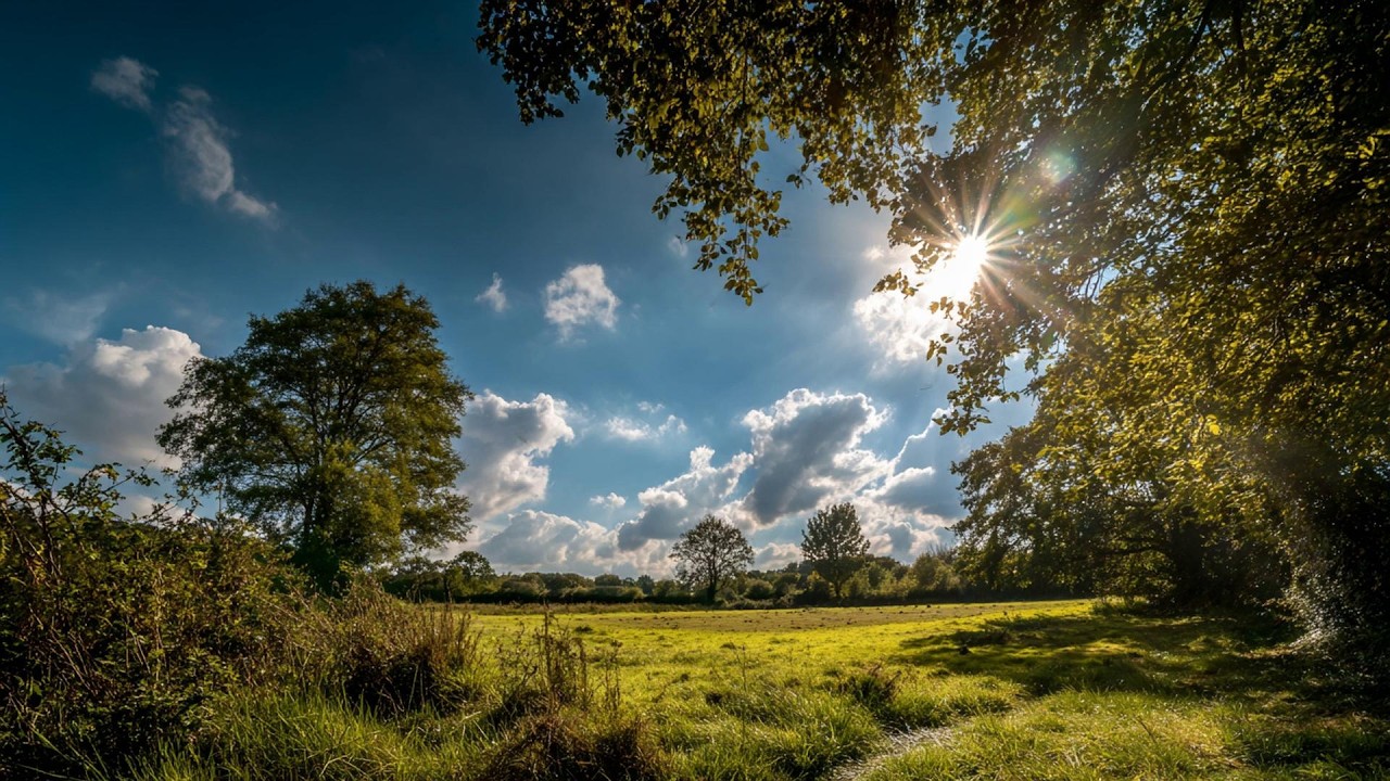 relaxing slow living playlist 🍀 music for studying, reading & deep focus