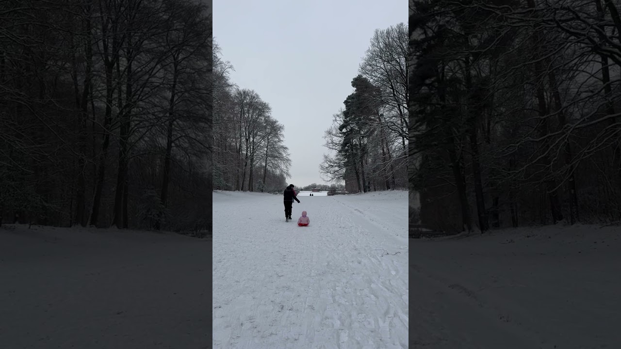 #januar2026 #snow #wintervibes #winter #germany #snijeg #zima #daughter #lovelife