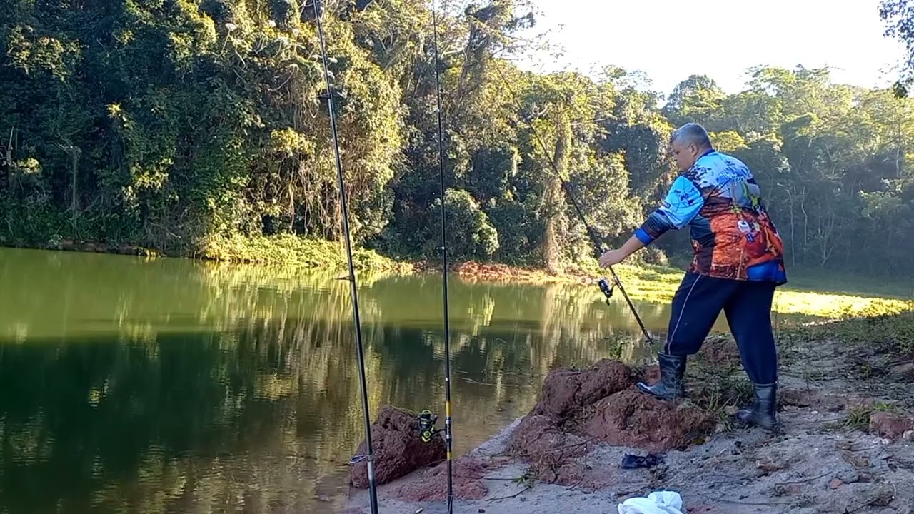 Pescaria de carpas na represa Billings saiu áte bagre na massinha @adautomagnoamigosdapescaterapi