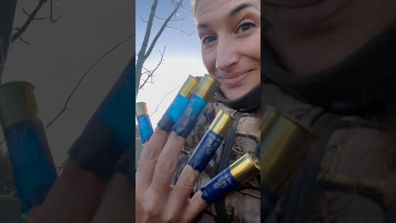 Chasse palombe au col à tir ! 