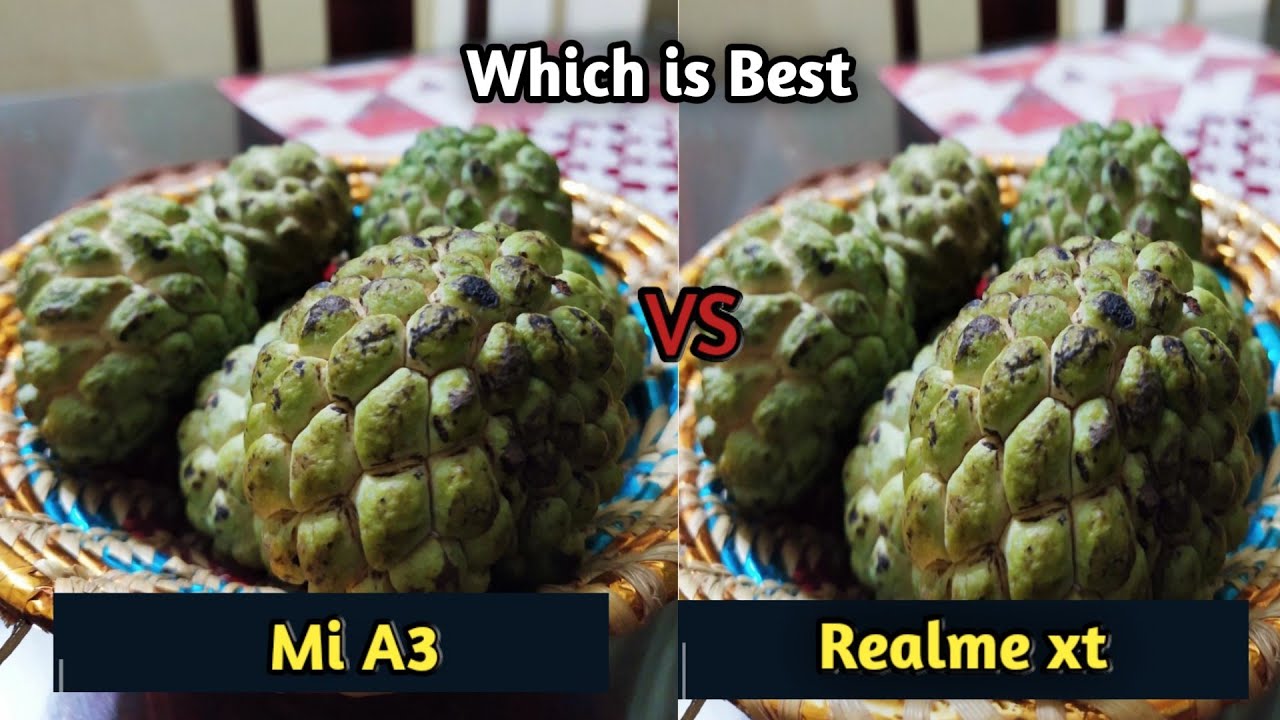Mi A3 vs Realme xt Camera Comparison | Which is Better Camera | Camera Review | 2019