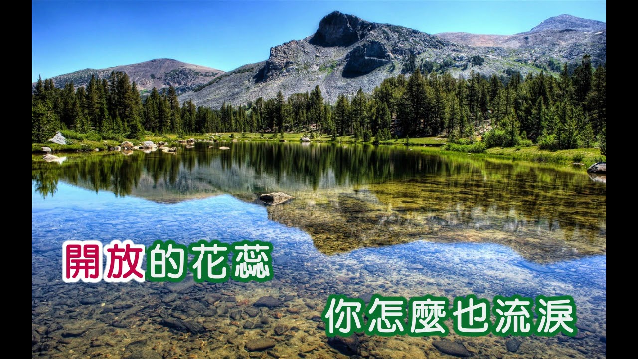 鄧麗君 ~ 美酒加咖啡