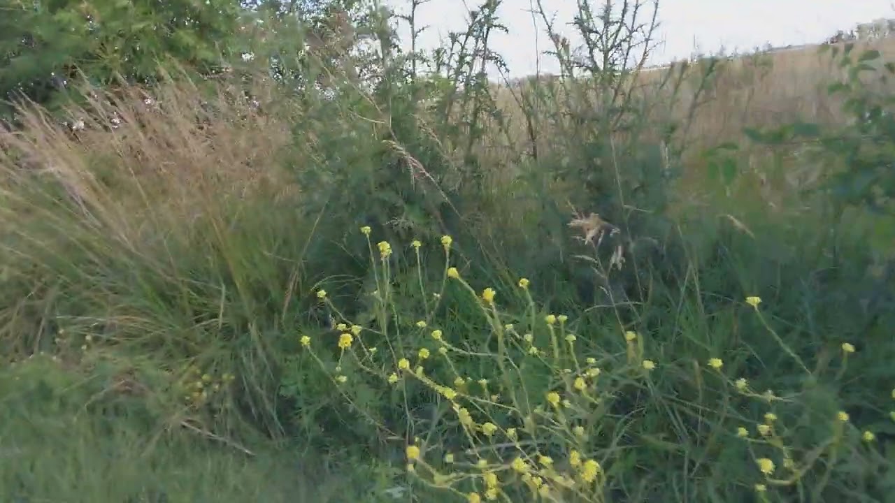 La Yapa del Bicirecorrido a Beguerie - Empalme a Olavarria