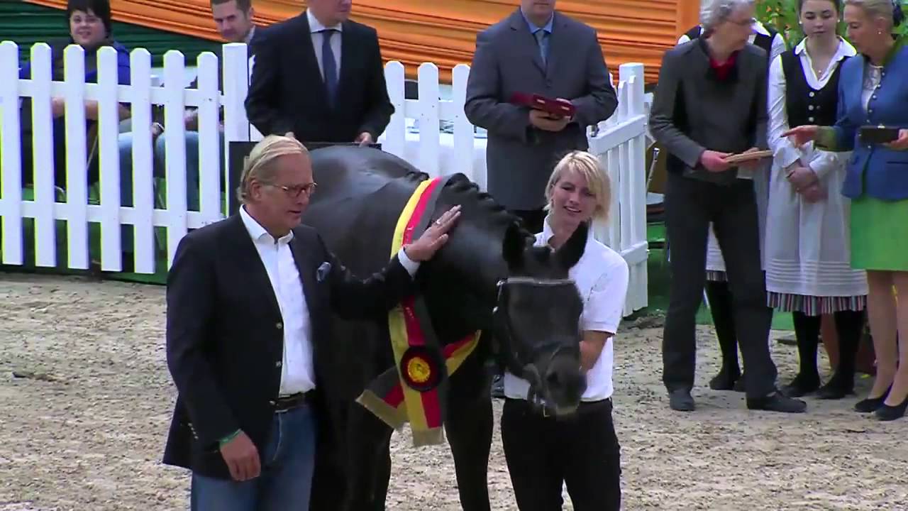 Sir Sansibar | Trakehner Siegerhengst |  Millenium x Cadeau | 2014