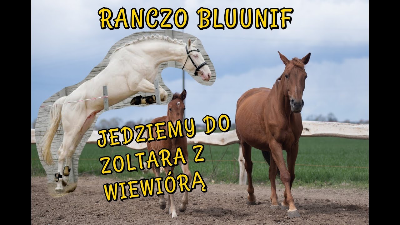 CREMELLO + KASZTAN = IZABEL