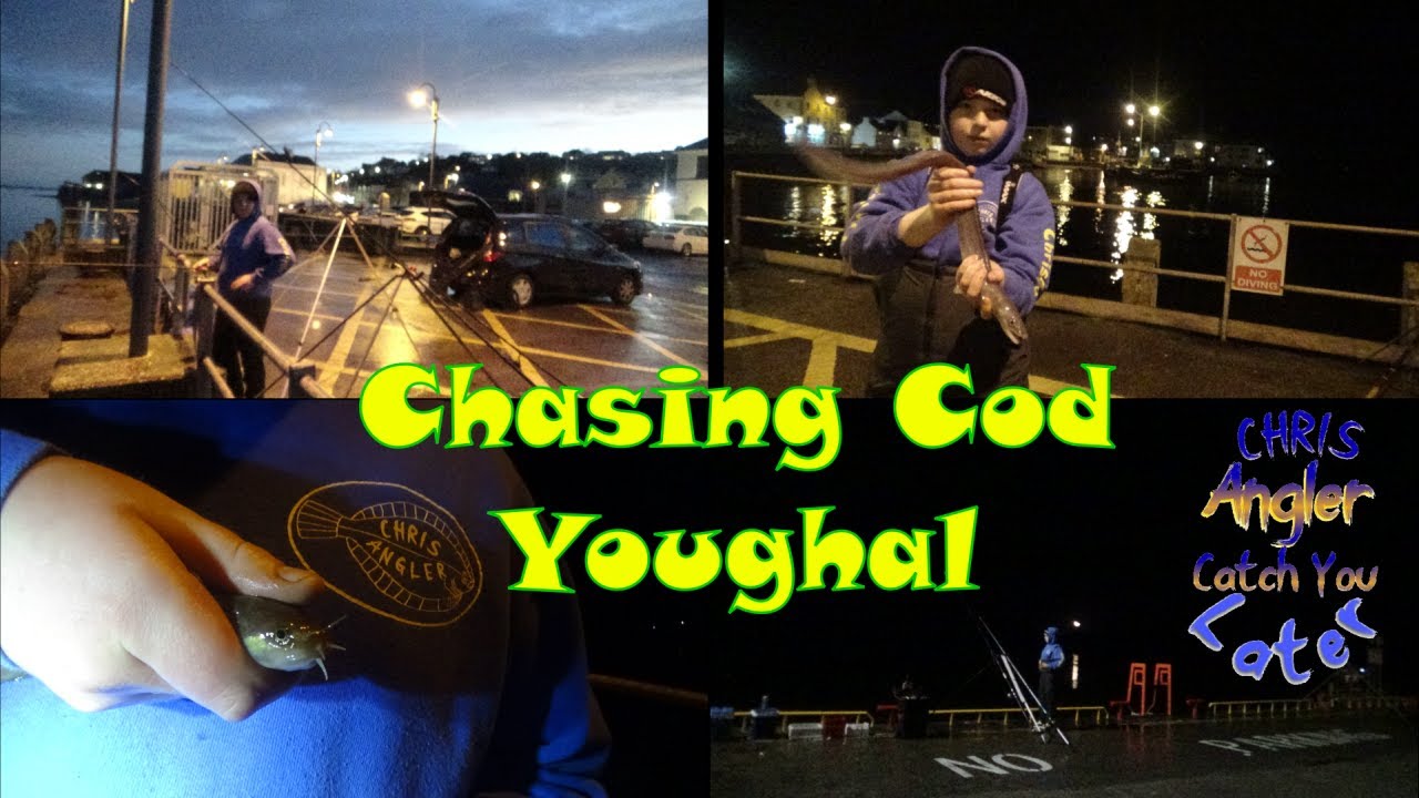 Chasing Cod at Youghal Co-Cork , plenty of fish at night fishing session.