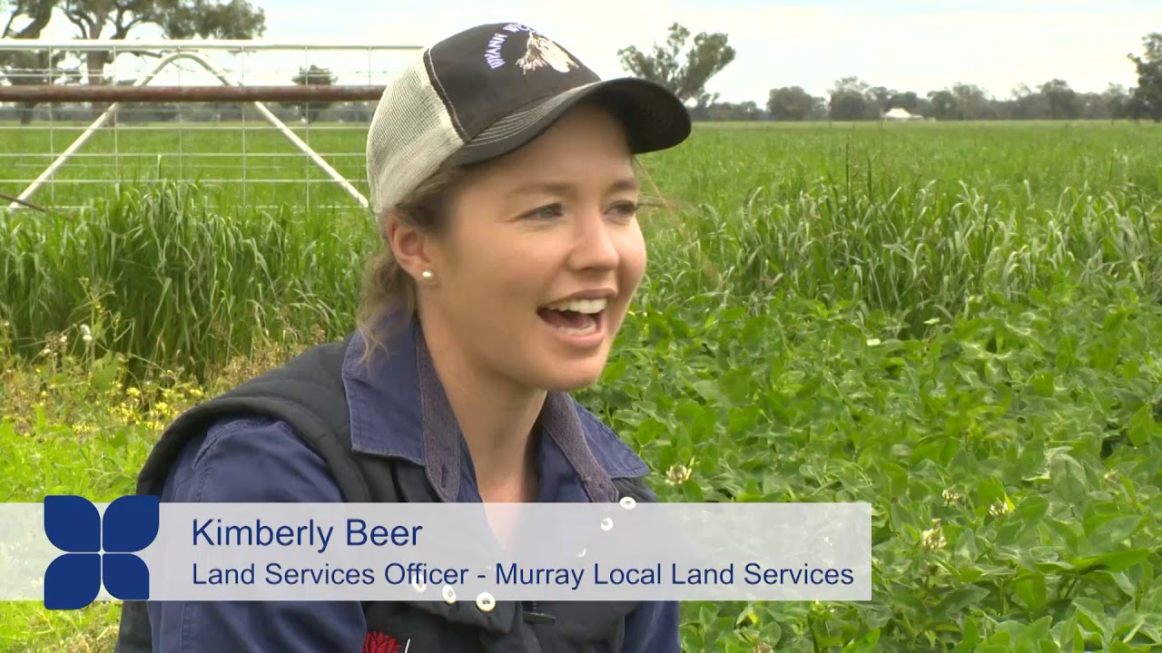 Soil Carbon Project - Legume Trial Sites