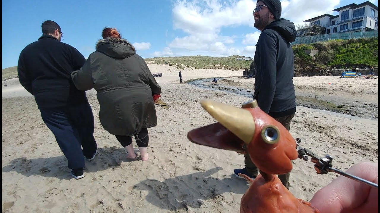 Dabchick in PIRATE COUNTRY