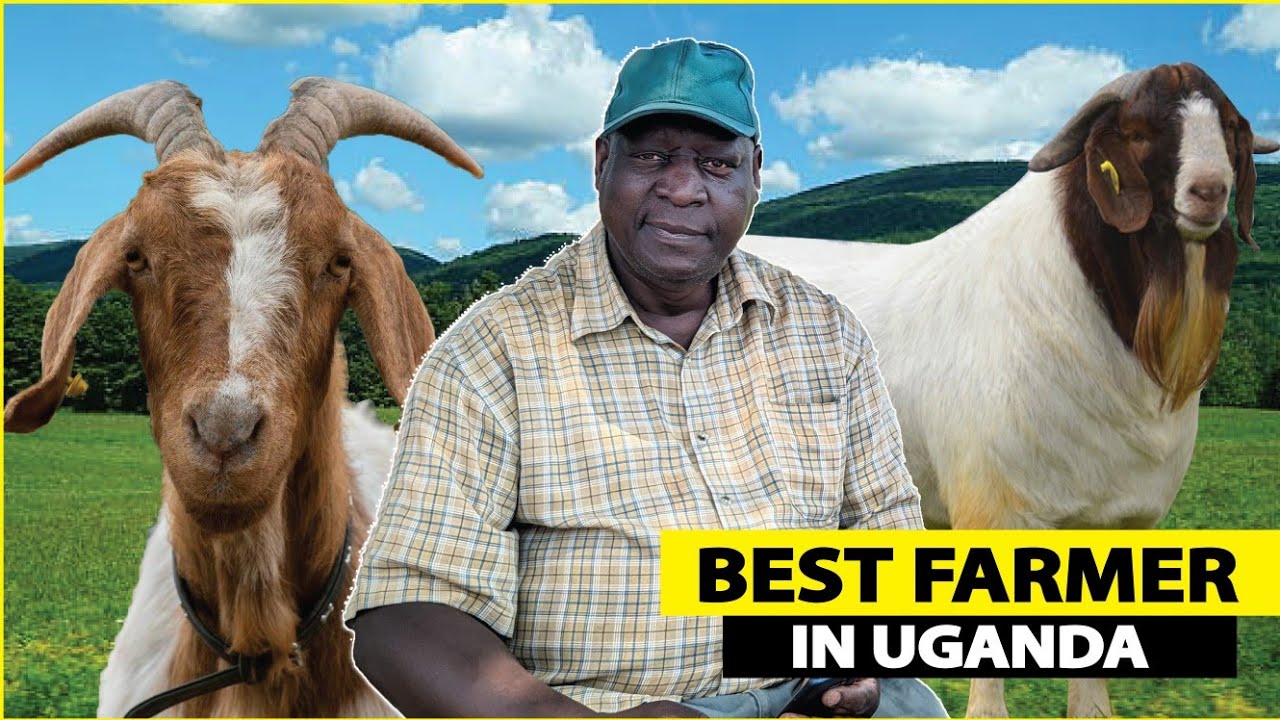 Best Farmer in Uganda. Retired headteacher making millions on his 200 acre farm | Agro tourism