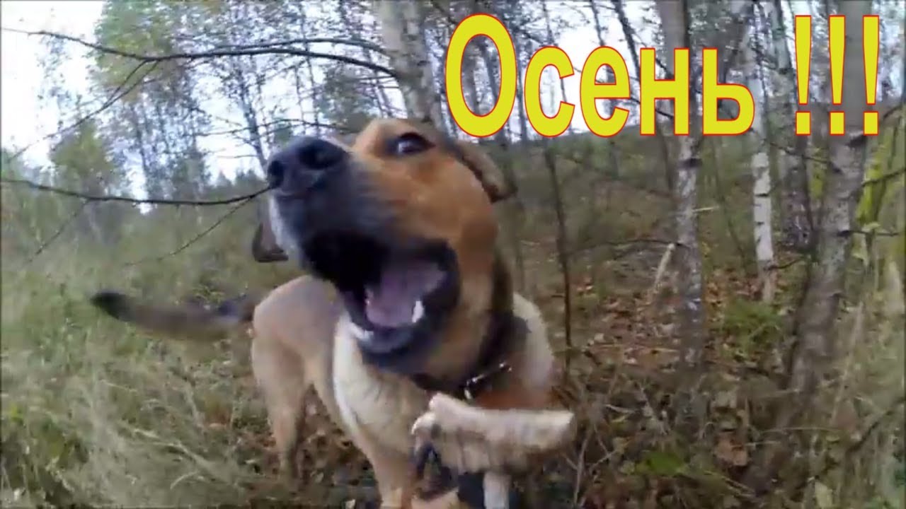 Деревенский трудодень  // Осенний день в деревне