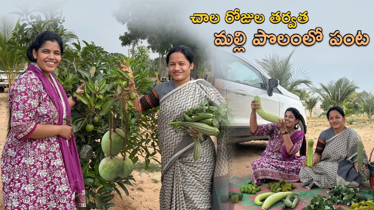 ల్యాండ్ ని బాగా మిస్ అయ్యా😍#farmland #farming #subscribemychannel @Anjitha's world  @pavan nagineni