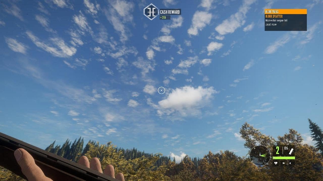 theHunter: Call of the Wild ducks