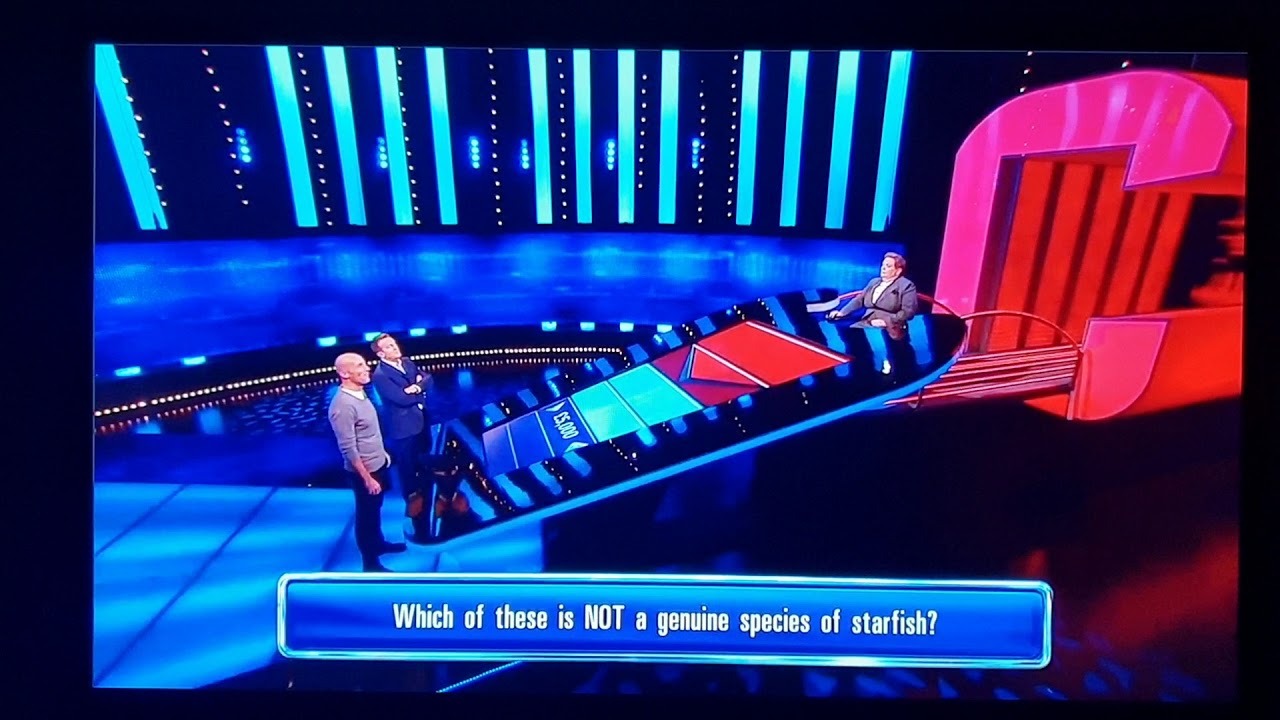The Chase UK  'Chocolate starfish'
