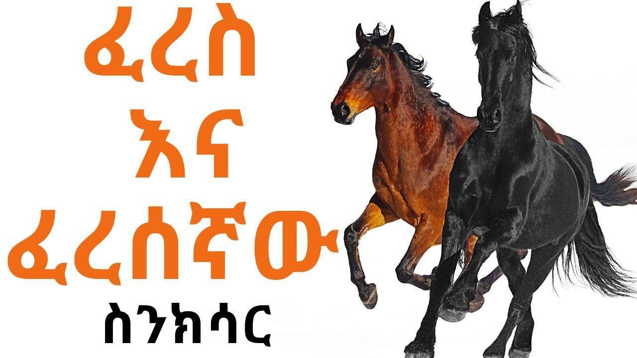 Ethiopia - Sheger FM - Sinkisar - Documentary - ፈረስ እና ፈረሰኛው - ስንክሳር