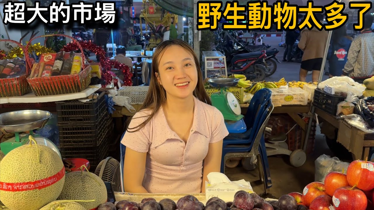 老挝萬象最大的市場，什麼蟲子動物都有.美女賣東西笑容好迷人