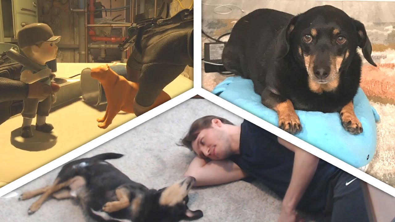 Best of Jerma and Otto