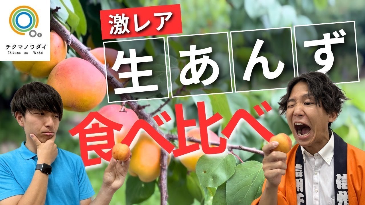 【超希少！】旬の時期しか味わえない生あんずを食べて品種を当てろ！【チクマノワダイvol.33】