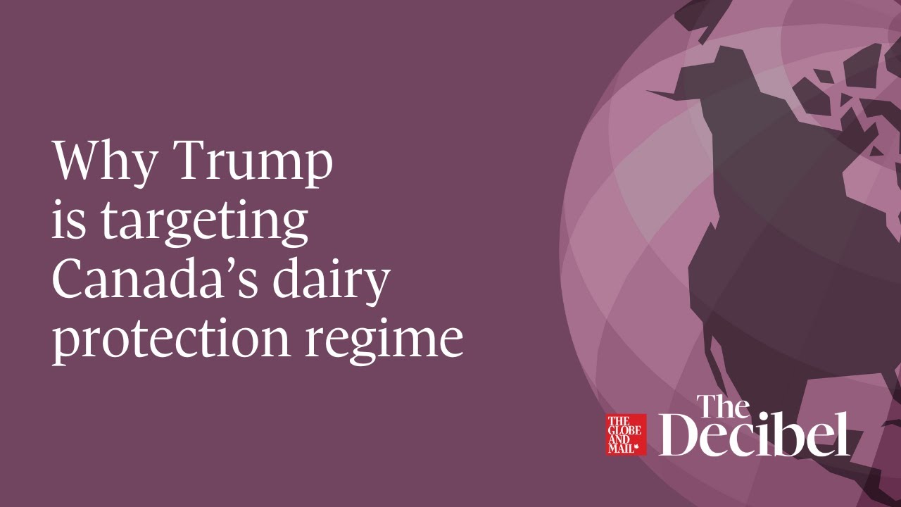 Why Trump is targeting Canada’s dairy protection regime