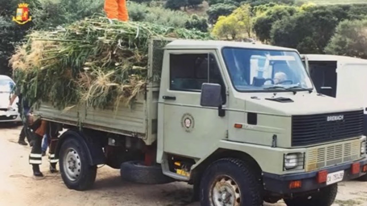 Teti scoperta maxi piantagione cannabis 17 08 18