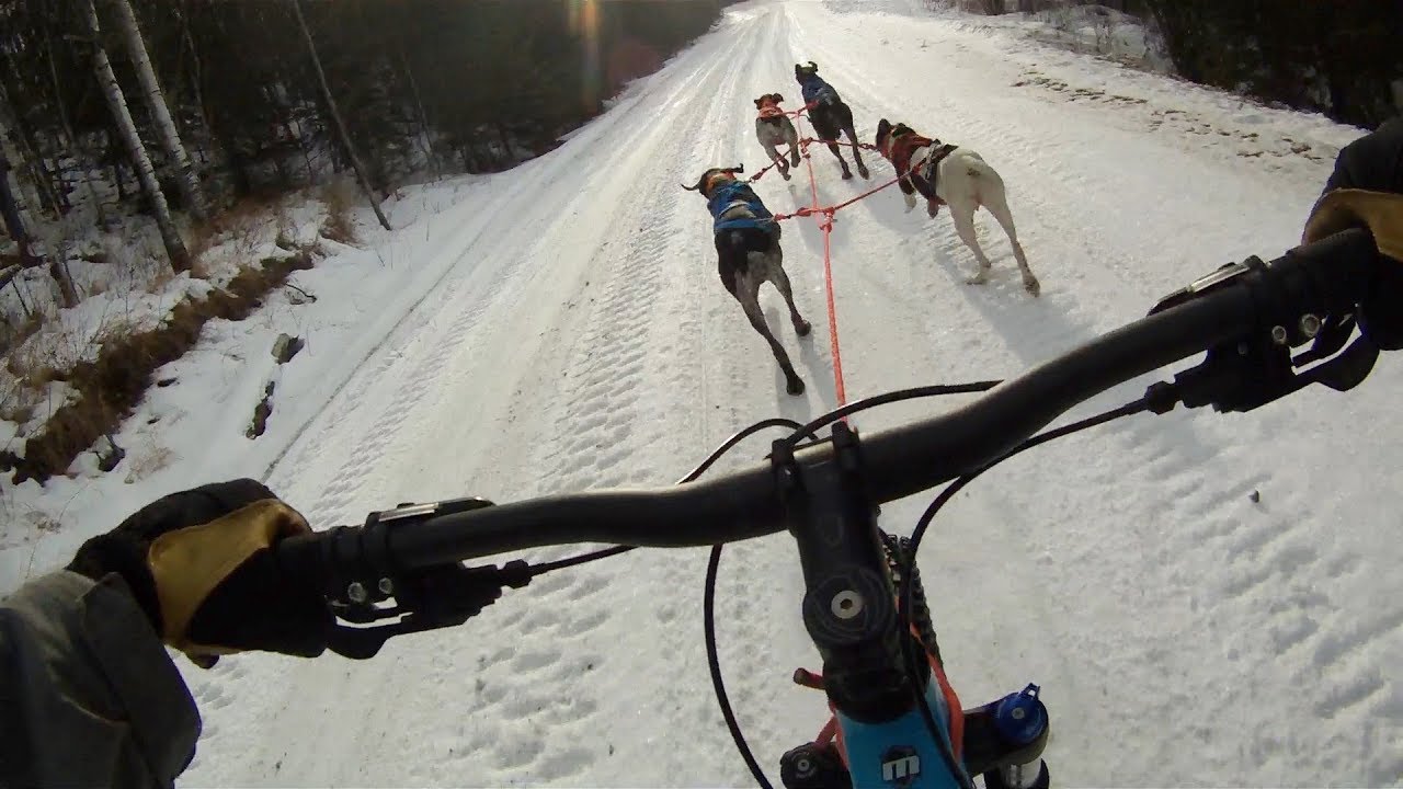 Bikejoring GSP's