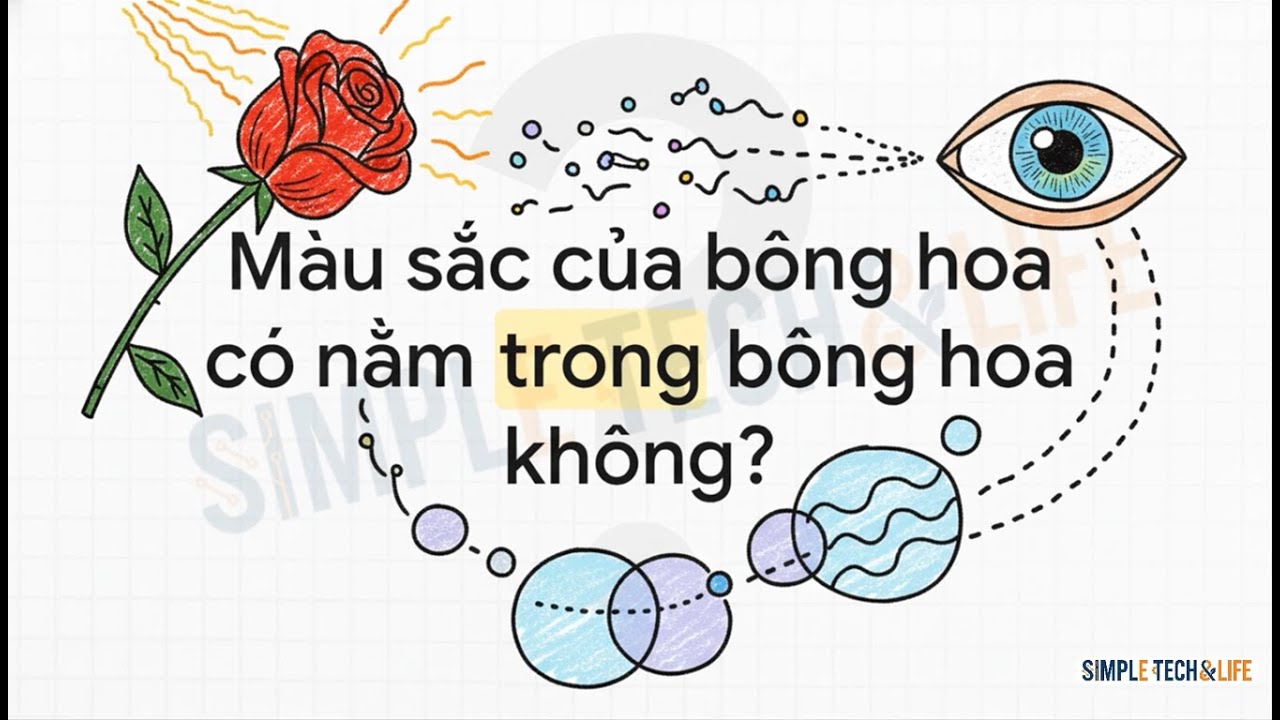 Khi Vật Lý Bắt Đầu Nghi Ngờ Thực Tại (When Physics Began to Question Reality)