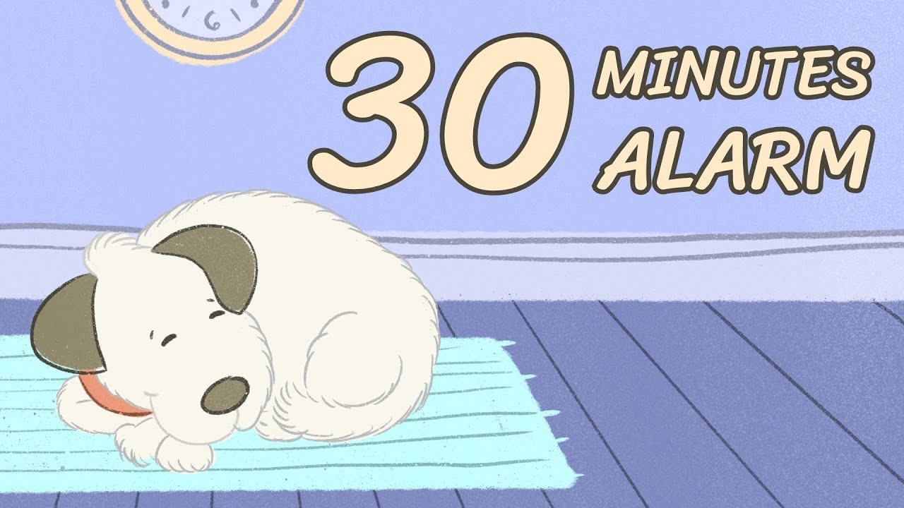 30 Minute Timer CALM DOG SLEEPING🐶 Countdown