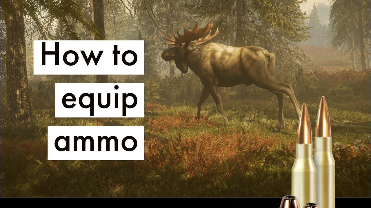 The hunter: call of the wild how to equip ammo tutorial