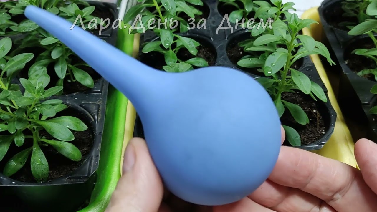 НАЧЕРЕНКОВАЛА КАЛИБРАХОА И ПРОДОЛЖАЮ.СОВЕТ ДЛЯ НАЧИНАЮЩИХ