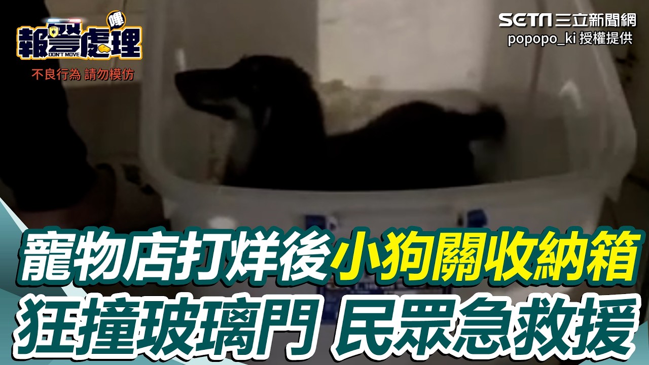 連鎖知名寵物店爆「不當安置」！小狗打烊後「關收納箱」&hellip;狂撞玻璃門 民眾急救援｜三立新聞網 SETN.com